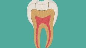 国产动漫蛀牙视频播放在线观看